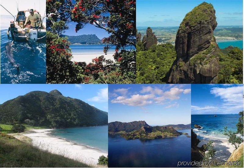 Cherry Court Motor Lodge Whangarei Εξωτερικό φωτογραφία